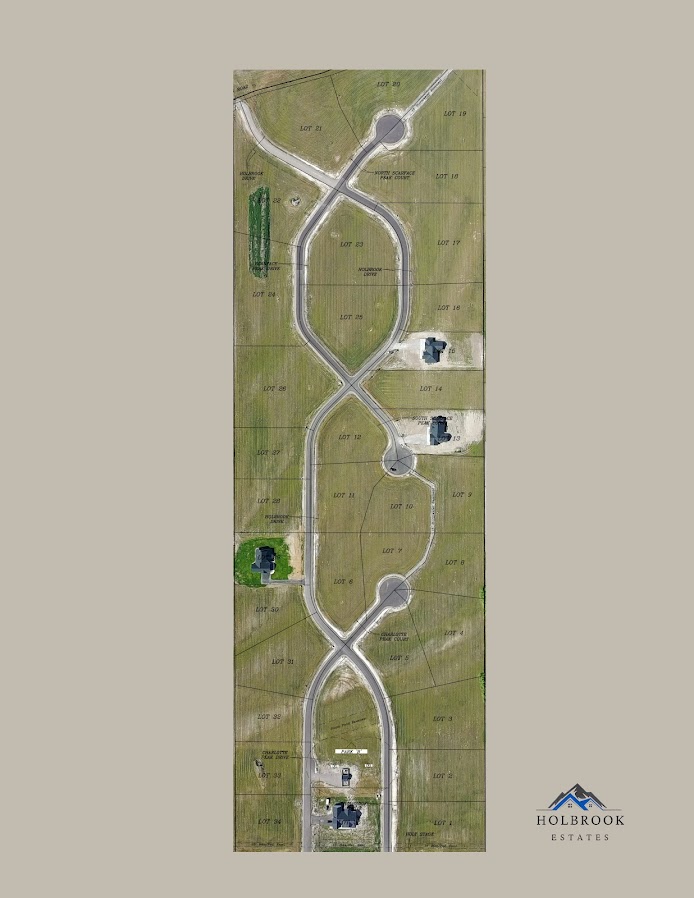 Development Overview